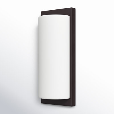 Flaire 2 Light Dimmable Flush Mounted Sconce