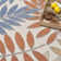 Ressie Floral Indoor/Outdoor Area Rug