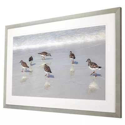 Hollandsworth Sandpiper Reflections Framed On Print