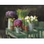 «August Fleurs® Nai, Danhui Gallery», art sur toile tendue: Les Fleurs Printemps sur fond noir