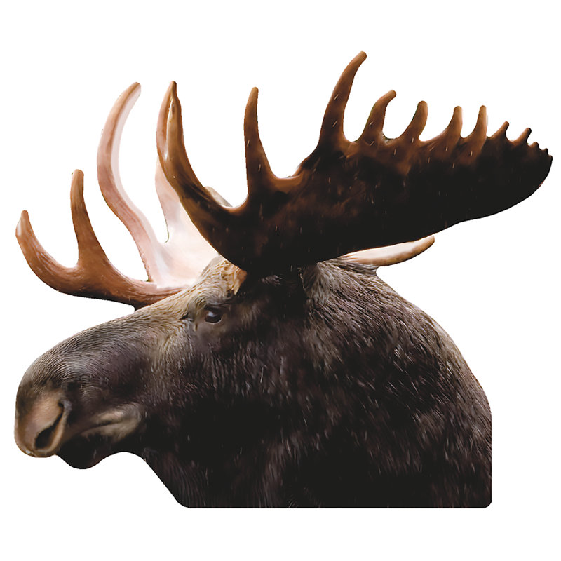 Moose Head Facing Left Cardboard Standup