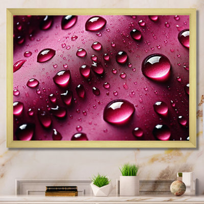 " Red Rose With Raindrops X "