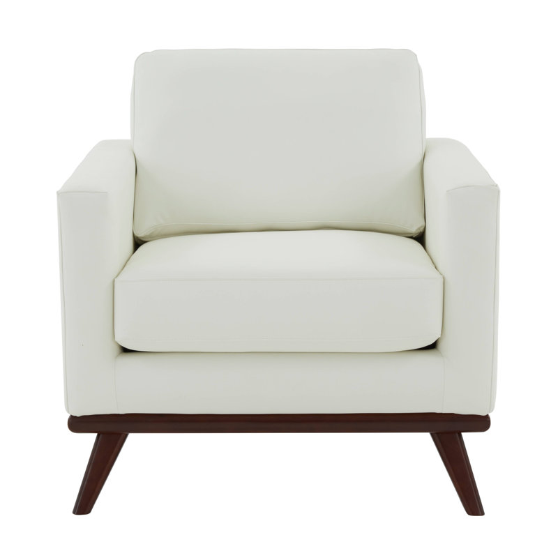 Khadeshia Mid-Century Modern Accent Chair, Lounge Chair, Armchair, Reading Chair with Leather/Mesh Upholstery and Birch Wood Legs