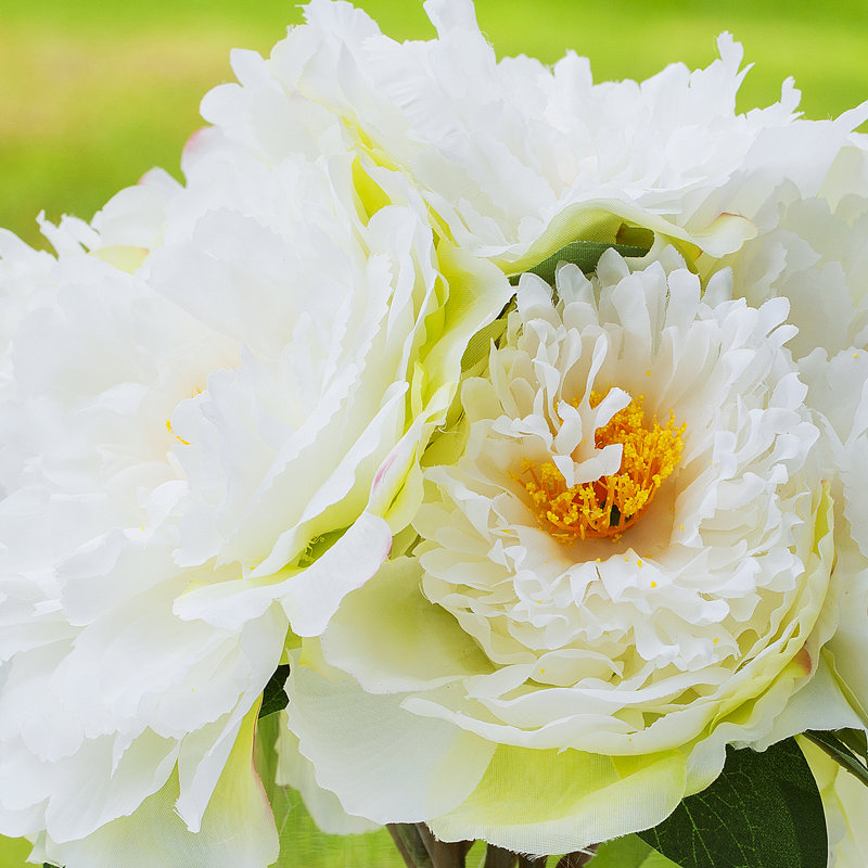 Faux Silk Peony Arrangement in Vase, Cream