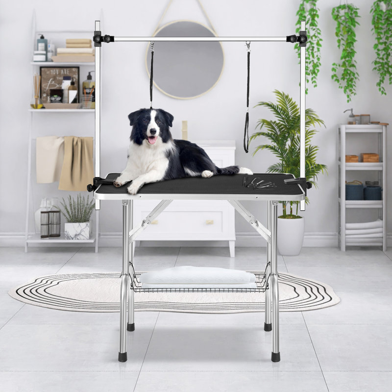 Table de toilettage professionnelle réglable, Noir, H 30 po x l 46 po x P 23,5 po