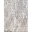 Hand Knotted Area Rug in Beige And Silver-1230554613