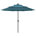 Peacock Blue/Cerulean