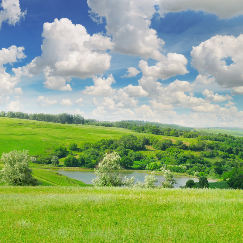 Green Field And Sky - Wrapped Canvas Print, 30cm H x 30cm W x 3.8cm D
