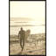 Surfista II Print by Karyn Millet-70492200