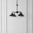 4 - Light Iron Dimmable Chandelier