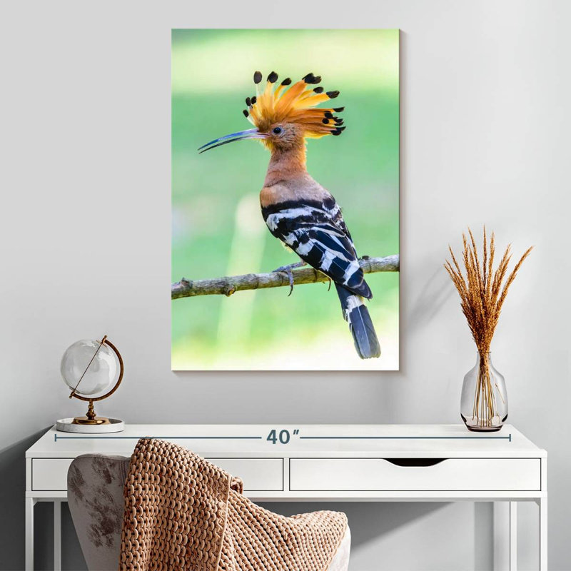 Brampt Common Hoopoe, 30" H x 20" W