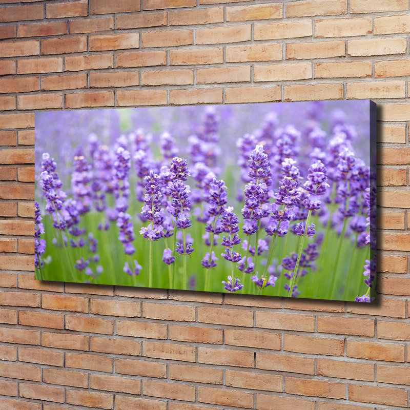 Lavender - Wrapped Canvas Print