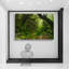 Paysage naturel «Deep Green Forest» sur-99543762