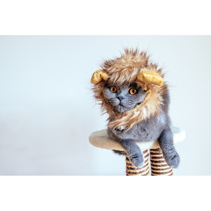 Cute Cat by Asurobson - Wrapped Canvas Print, 30cm H x 46cm W