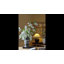 Tige de glycine Enchanted Garden 51 po de haut-57364117