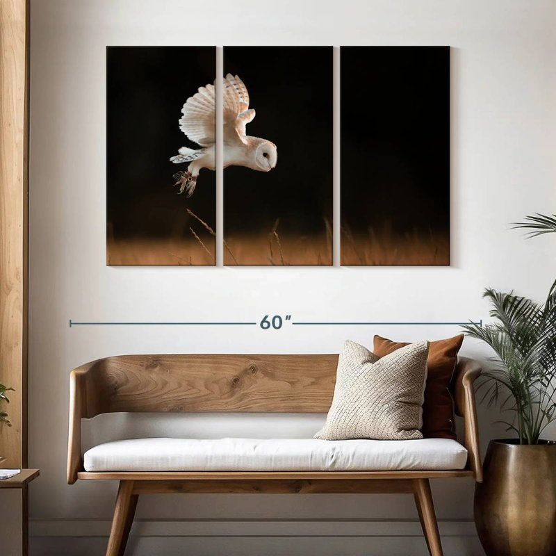 Brampt Barn Owl Beauty, 32" H x 50" W