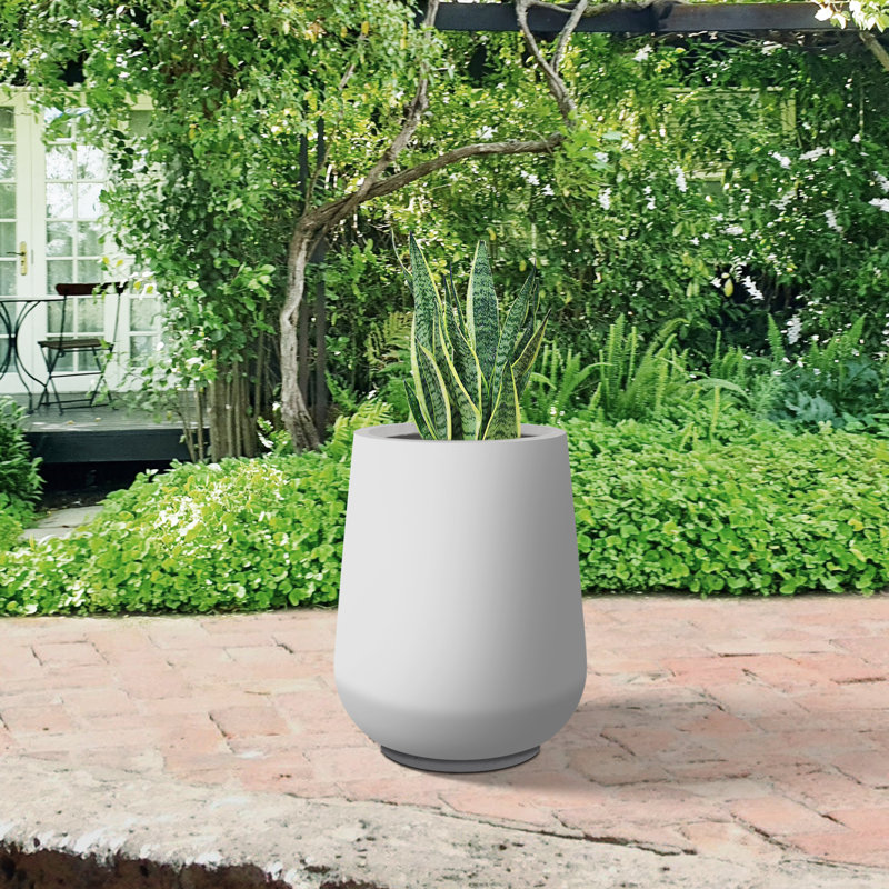 Pot à fleurs en béton Laihla, Blanc, H 13,8 po x l 10,7 po x P 10,7 po