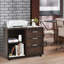 Joori 80 cm W 3 -Drawer Filing Cabinet-949196283