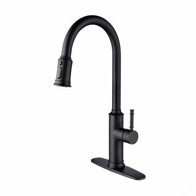 Kitchen Faucet With Pull Out Spraye