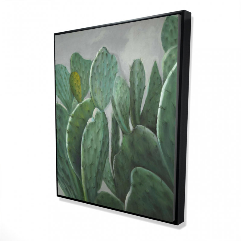 " Paddle Cactus "