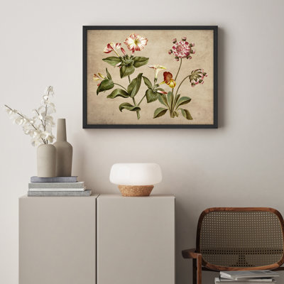 «Morning Glory Flowers Rustic Artwork, impressions encadrées, affiches, petit art mural de salle de bain»