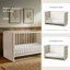 NorCal 4 -in-1 Convertible Crib