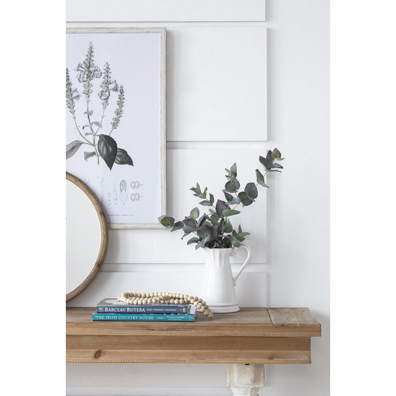 Eucalyptus - ensemble de 12 - vert