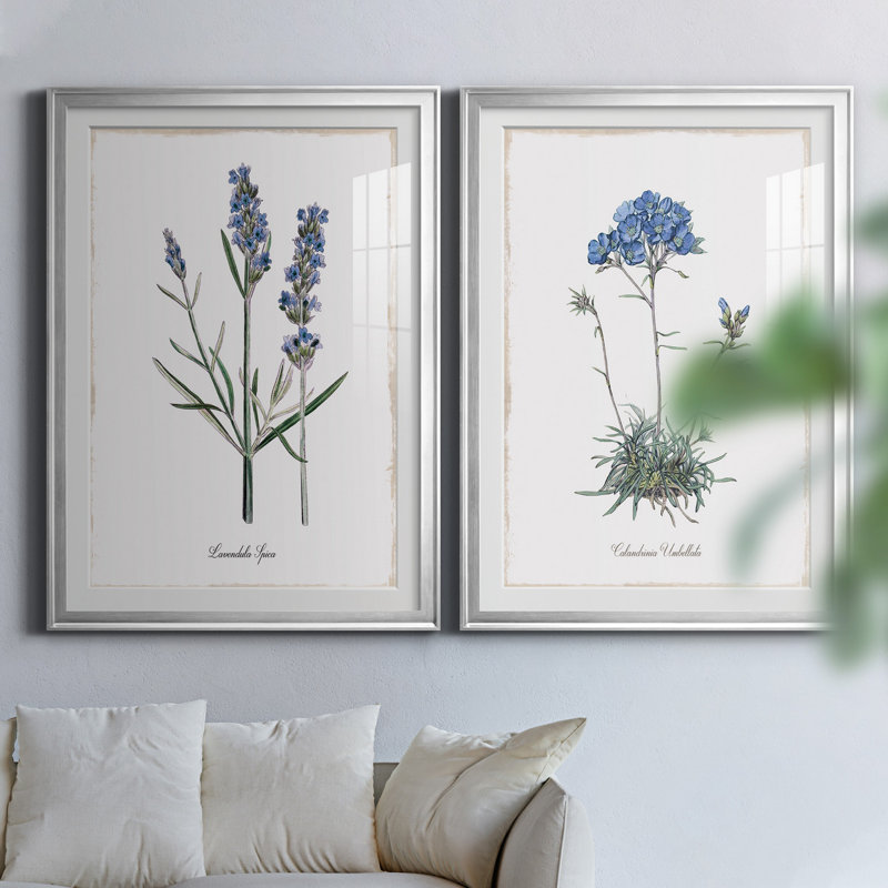 Lavande - ensemble de 2 reproductions d'impressions, Papier avec cadre argenté, Blanc, H 30,5 po x l 85 po x P 1,5 po