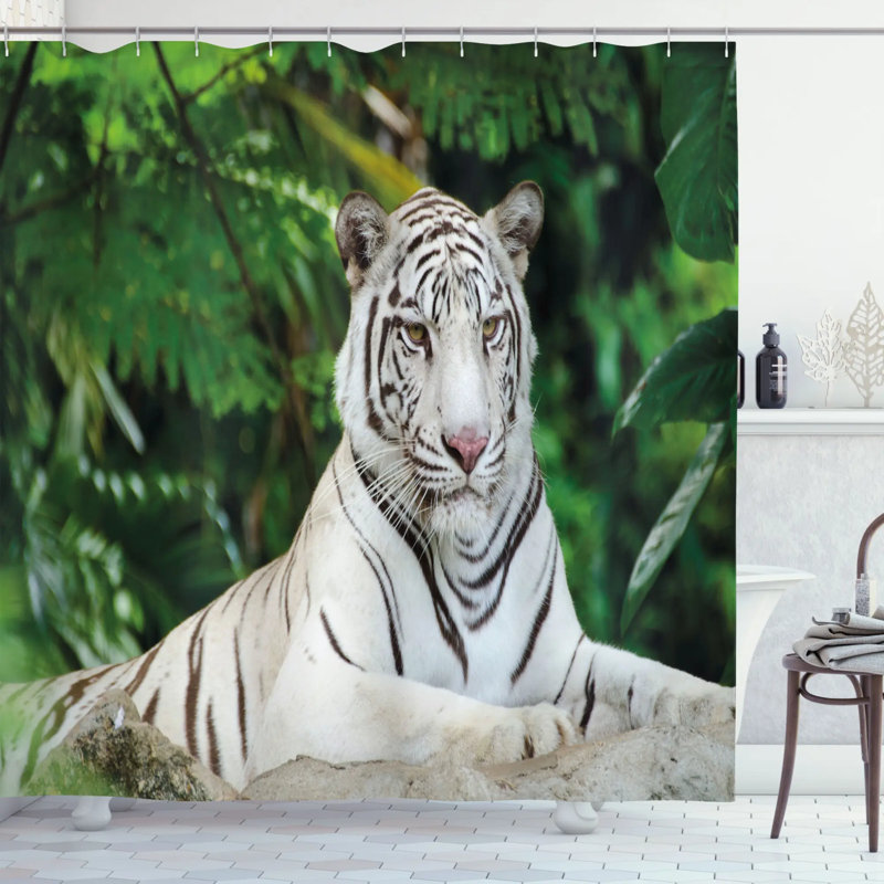 Ensemble de rideau de douche tiger et crochets, H 69 po x l 105 po