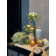 Petersville Ceramic Table Vase