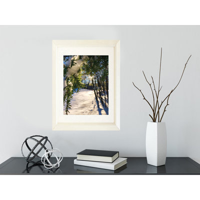 Couverture hivernale - photographie