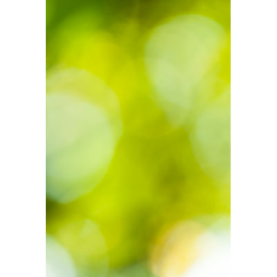 Pricsila " Green Background " by Katarzynabialasiewicz