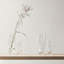 Vase de table en verre Squeeze Bloom-55085192-55085191