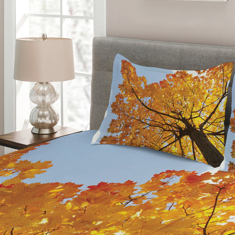 Farmhouse / Country Polyester Coverlet