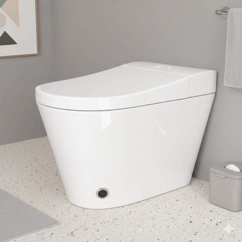 Distinctive one-piece smart toilet with an integrated bidet system, intelligent automated lid opening/closing, and features including a dryer and warm water washing, in white.