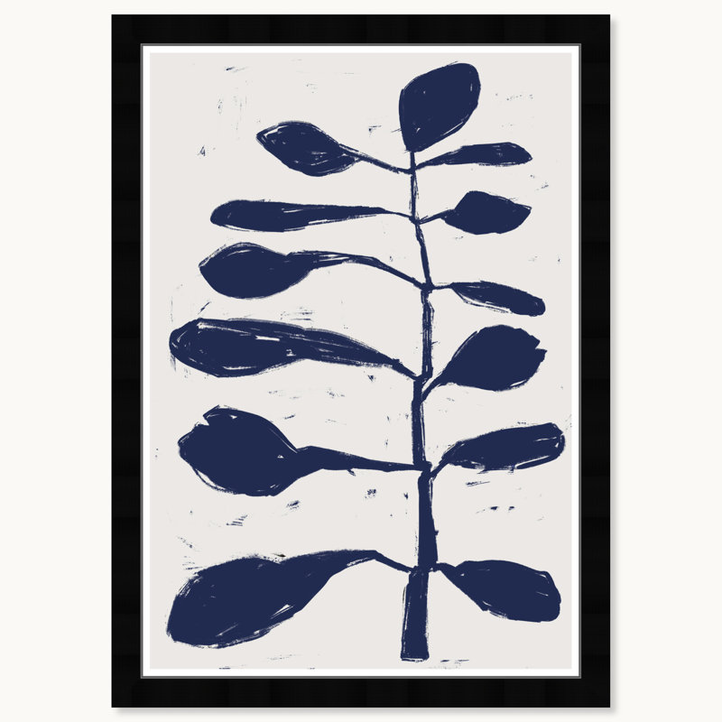 Branche d'Azul, Cadre noir
