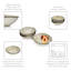 Blidge 4 Piece Dessert Bowl Set