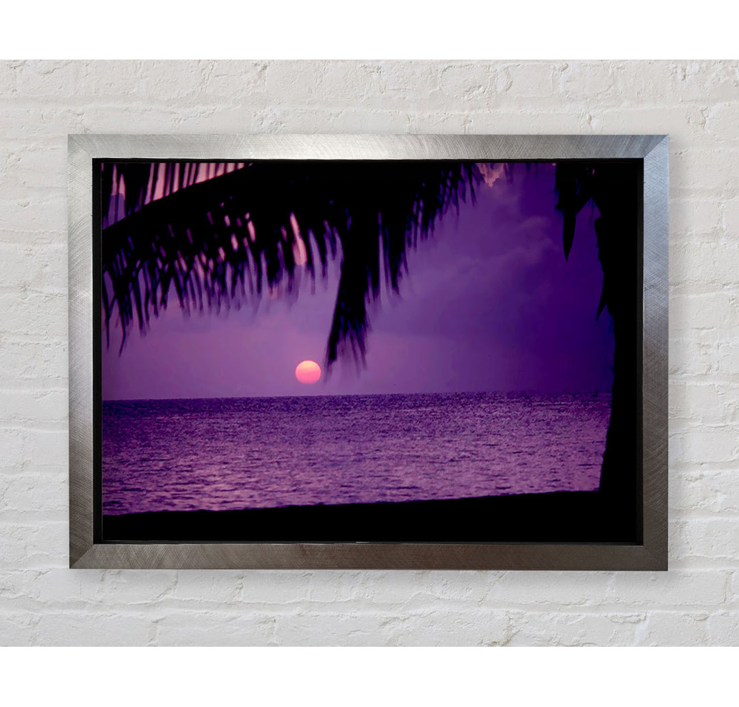 Sun Down Palm Purple - Einzelne Bilderrahmen Kunstdrucke