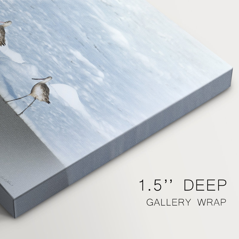 Sandpipers II -Gallery Enveloppé Cavas, 40 x 60
