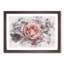 Pink Tipped Rose Flower - Framed Print-56892156-56892163