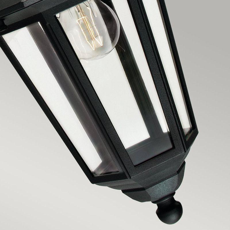 Aelia 54cm H Outdoor Wall Lantern, Black