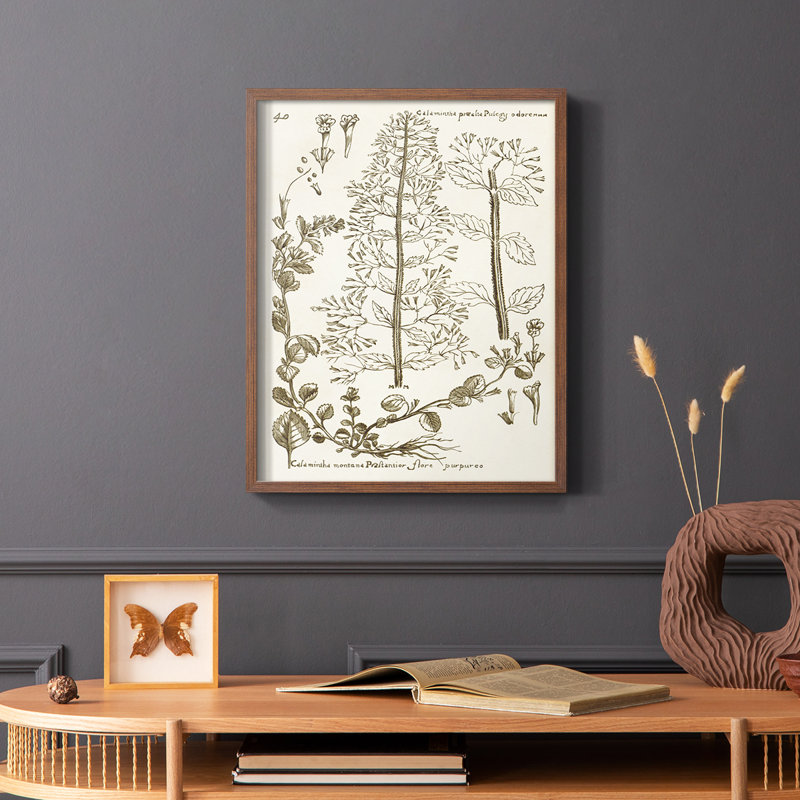 «Sépia Botanical Journal», reproduction encadrée en bois massif, Brun, H 14 po x l 11 po