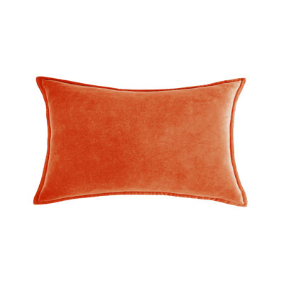 (Couvertures avec insertions) Ensemble de 2 coussins décoratifs rectangulaires en velours