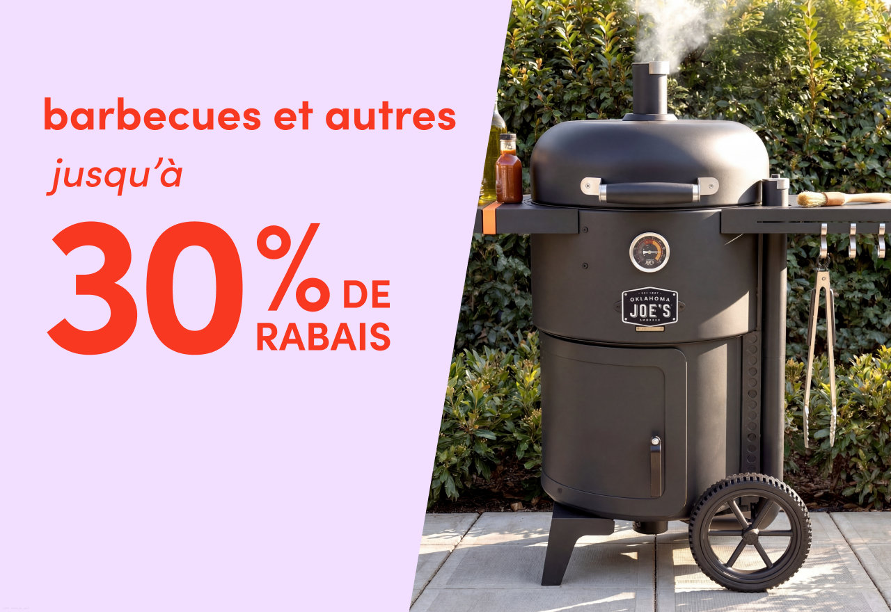 barbecues et autres en solde