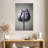Harnek Baroque I-115924140