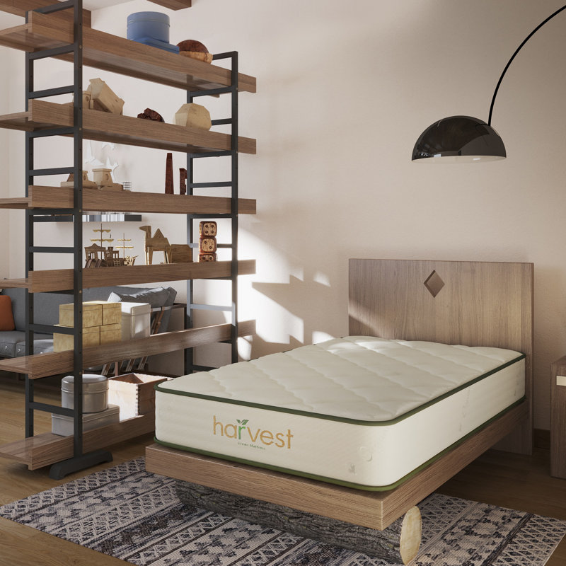 Twin Organic Latex Foam Pillowtop Mattress