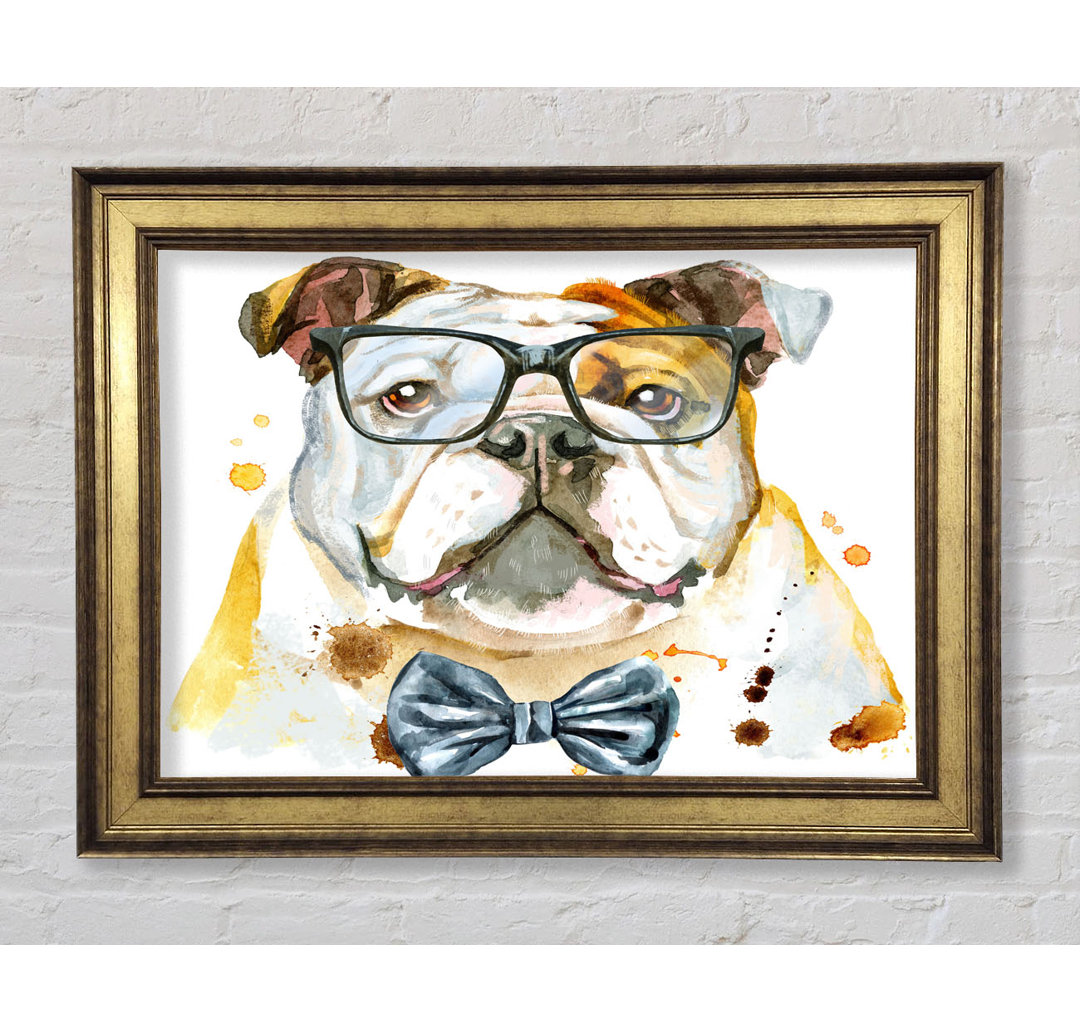 Die Bulldogge mit Brille - Einzelner Bilderrahmen Kunstdrucke