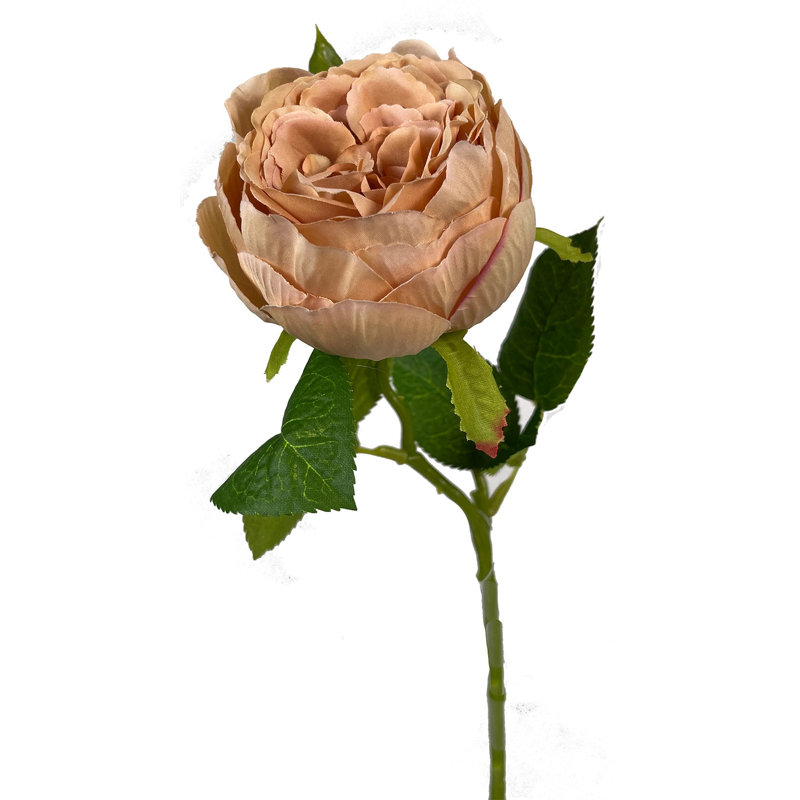 Arrangement de roses, Brun