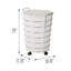 Panier à linge roulant Wayfair Basics®