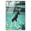 Oliver Gal Panther Swim Animals - Framed Acrylic Glass Wall Art-1387683349-1387683357